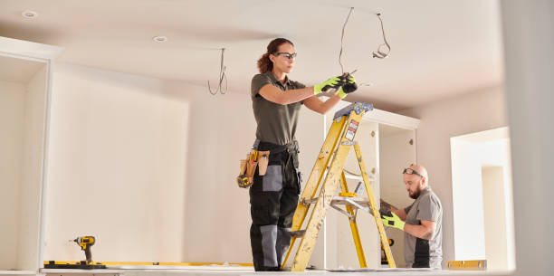 Best Electrical Rewiring Services  in Barrington, IL
